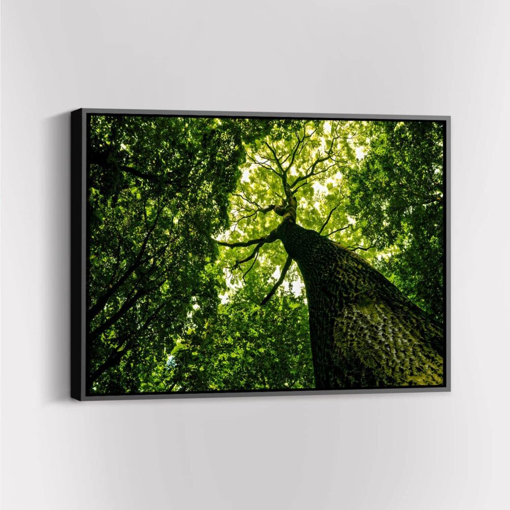 Green-Tree-mockup1