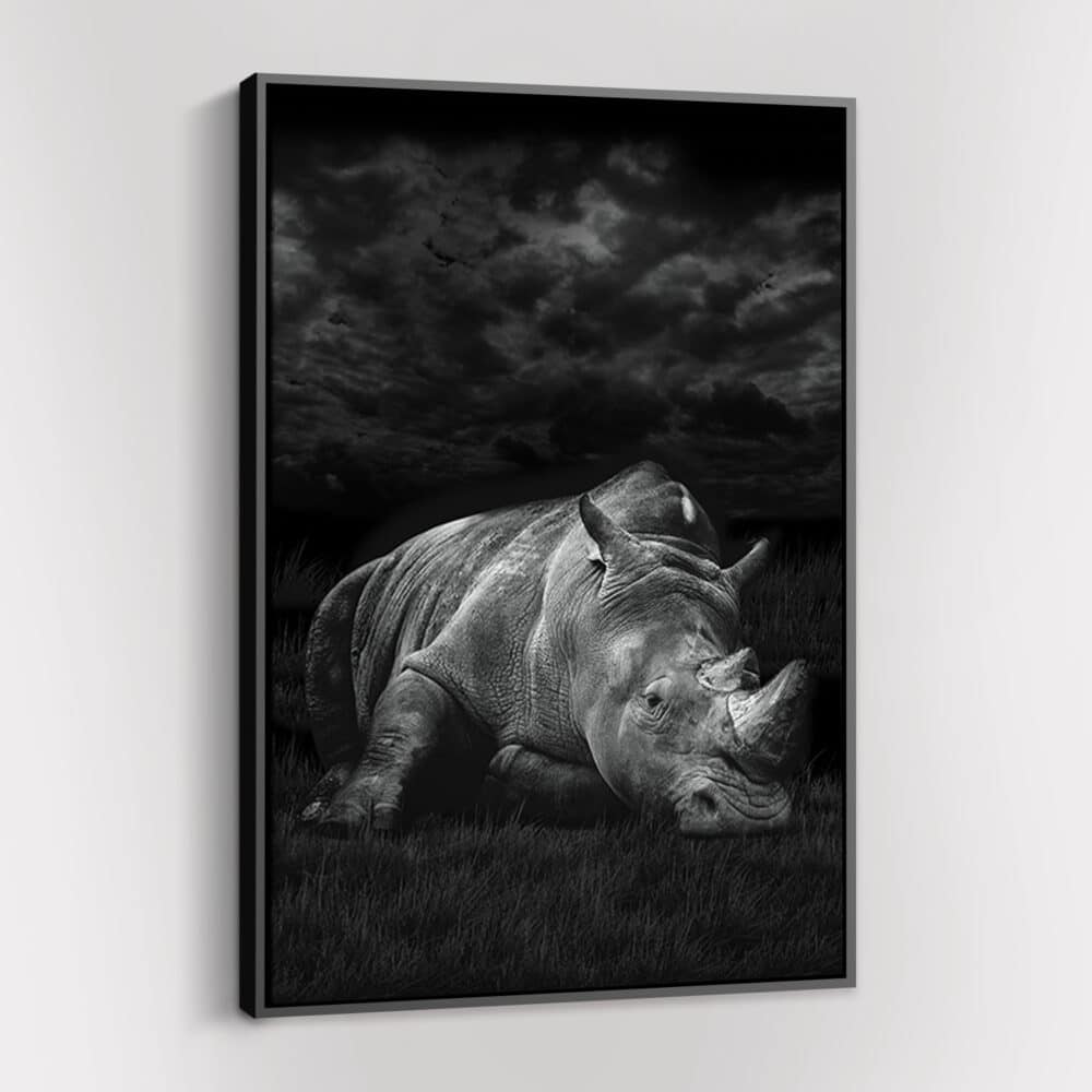 safari-rhino-mockup-1