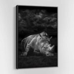 safari-rhino-mockup-1