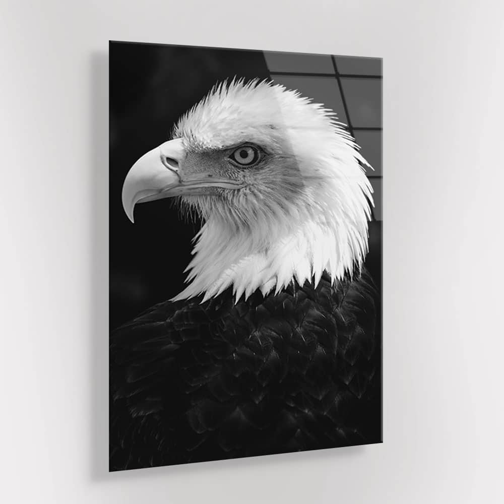 Eagle-Bird-Glass-Mockup-1-min