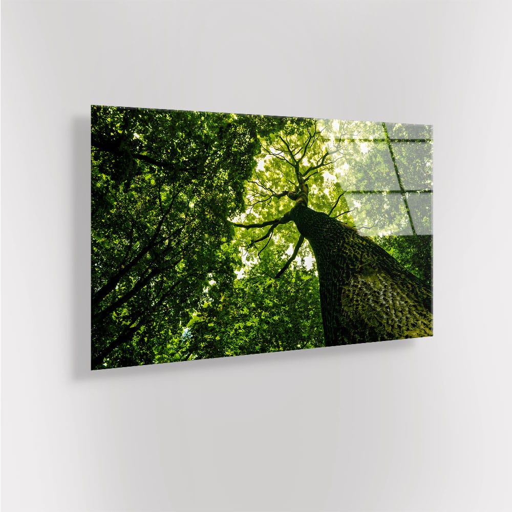 Green-tree-glass-mockup1