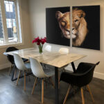 glas lion lioness room